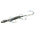 Zoom Lizard 6''