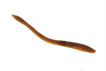 Zoom Trick Worm 6.5''