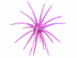 Super Urchin 19mm (3 Pack)