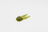 Zoom Tiny Chunk 2''