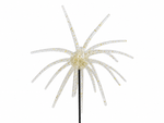 Super Urchin 19mm (3 Pack)