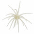 BFT Outdoor New Magnum Urchin 25mm