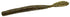 Zoom Speed Worm 5.5''