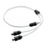 JL Audio 2 Channel Marine Audio YAdaptor 1 Male Plug to 2 Female Jacks  XMDWHTAICY1M2F 0101355300