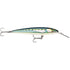 Rapala CountDown Magnum Elite 185  7  Armored Sardine CDMAGE185AMSRD
