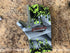 NEW JIG SHACK FISHING GLOVES!! $15 SHIPPED image 3
