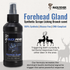 Forehead Gland - Synthetic Scrape Branch Deer Scent