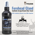 Forehead Gland - Synthetic Scrape Branch Deer Scent