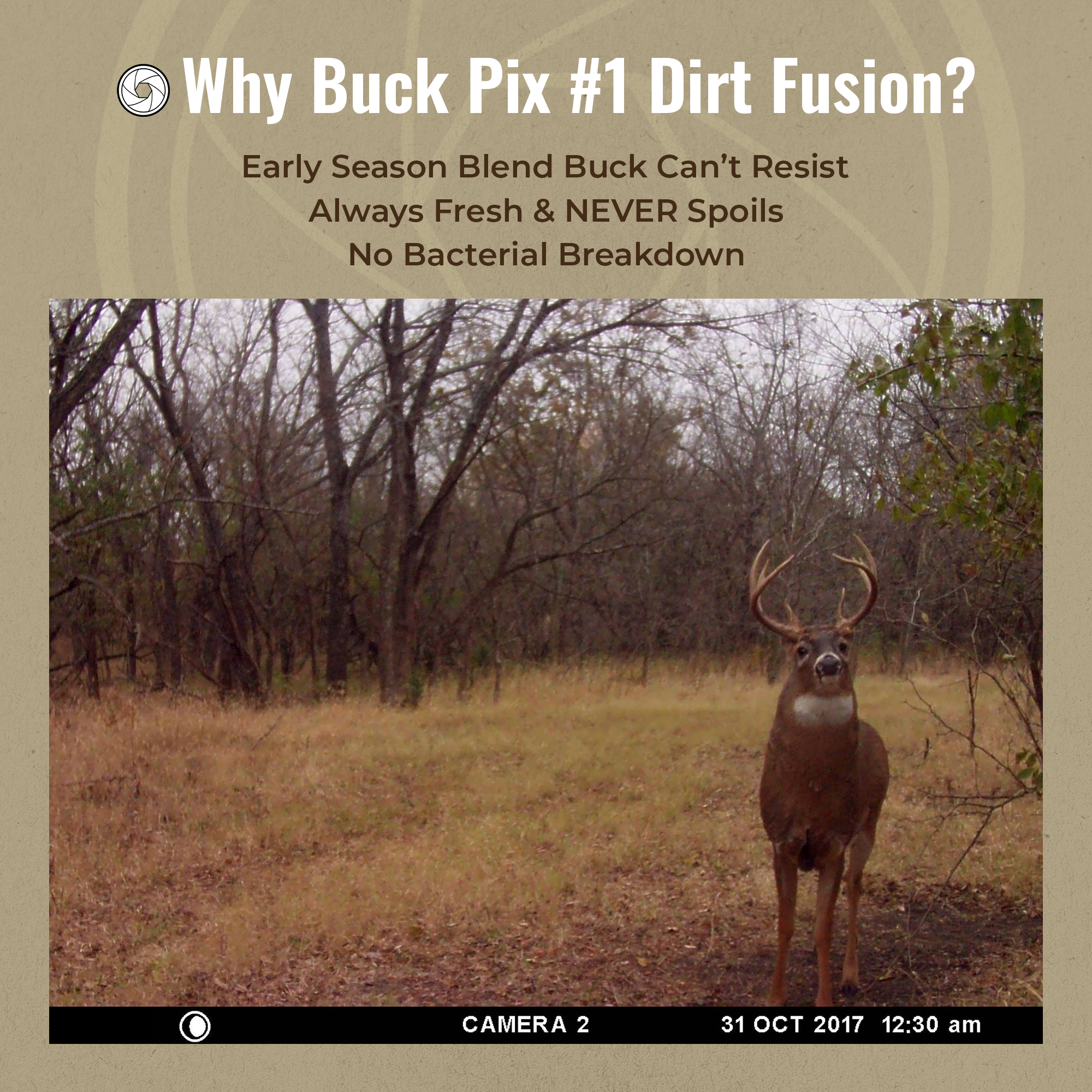 Buck Pix #1 Dirt Fusion