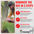 Red Moon® Rut - Synthetic Buck Scent