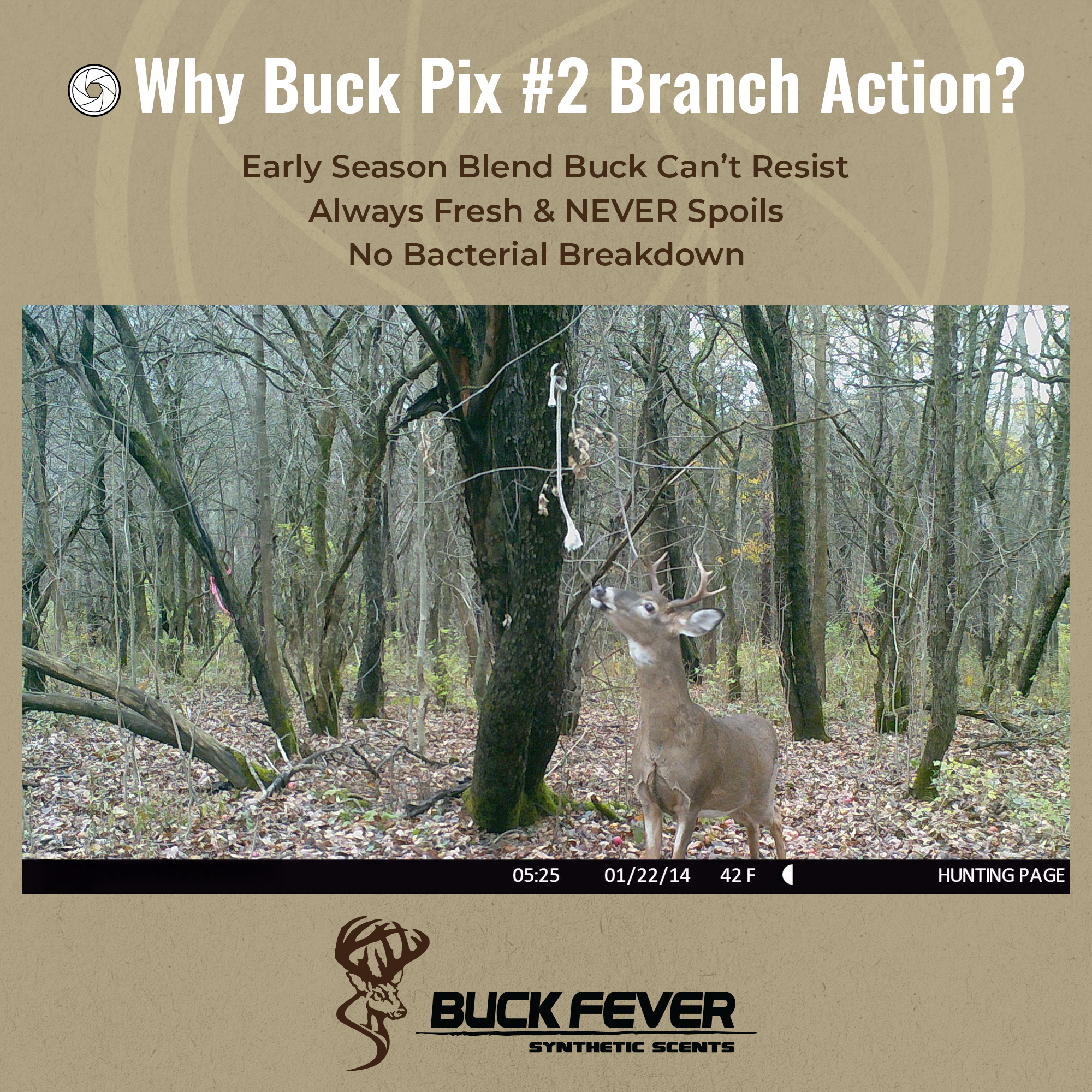 Buck Pix #2 Branch Action