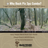 Buck Pix 3pc
