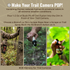 Buck Pix 4-Piece Combo - Synthetic Scent Pack