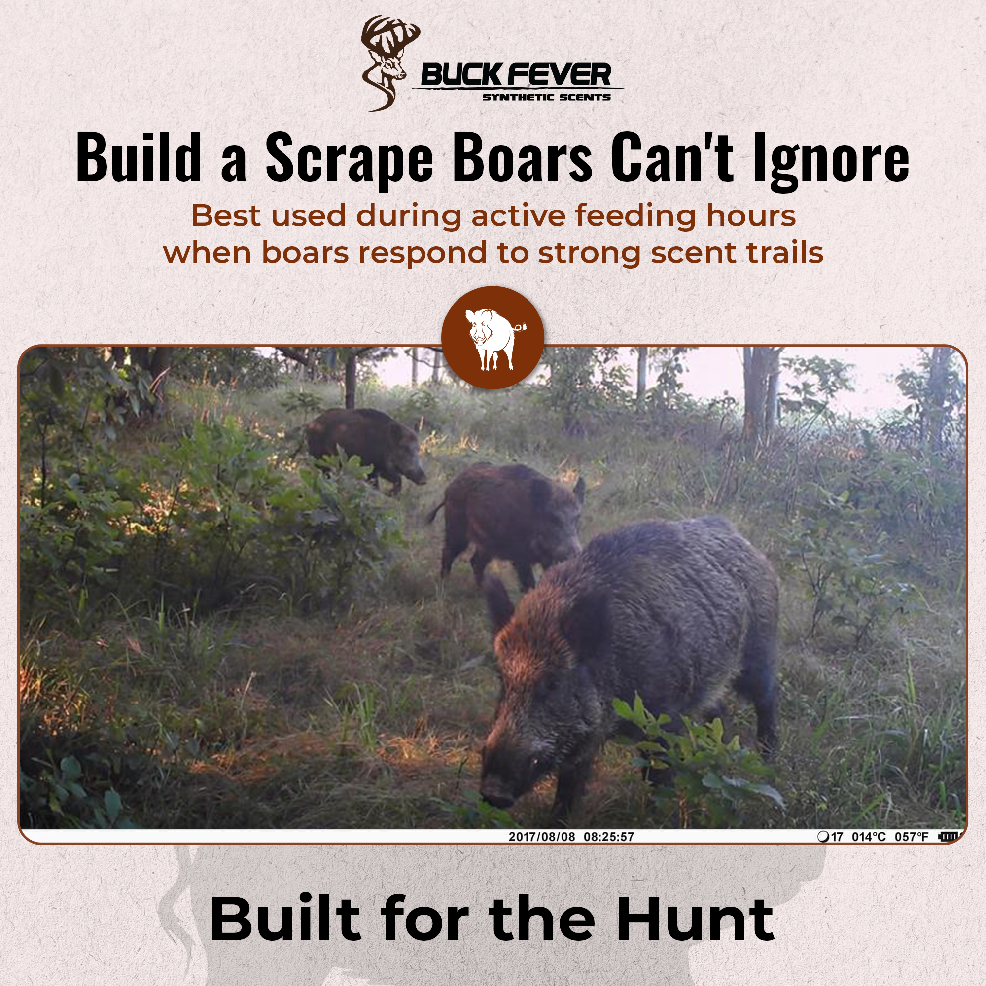 Boar Root Juice- Rooting Hog Attractant Scent