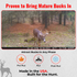 Red Moon® Estrous - Synthetic Doe Scent