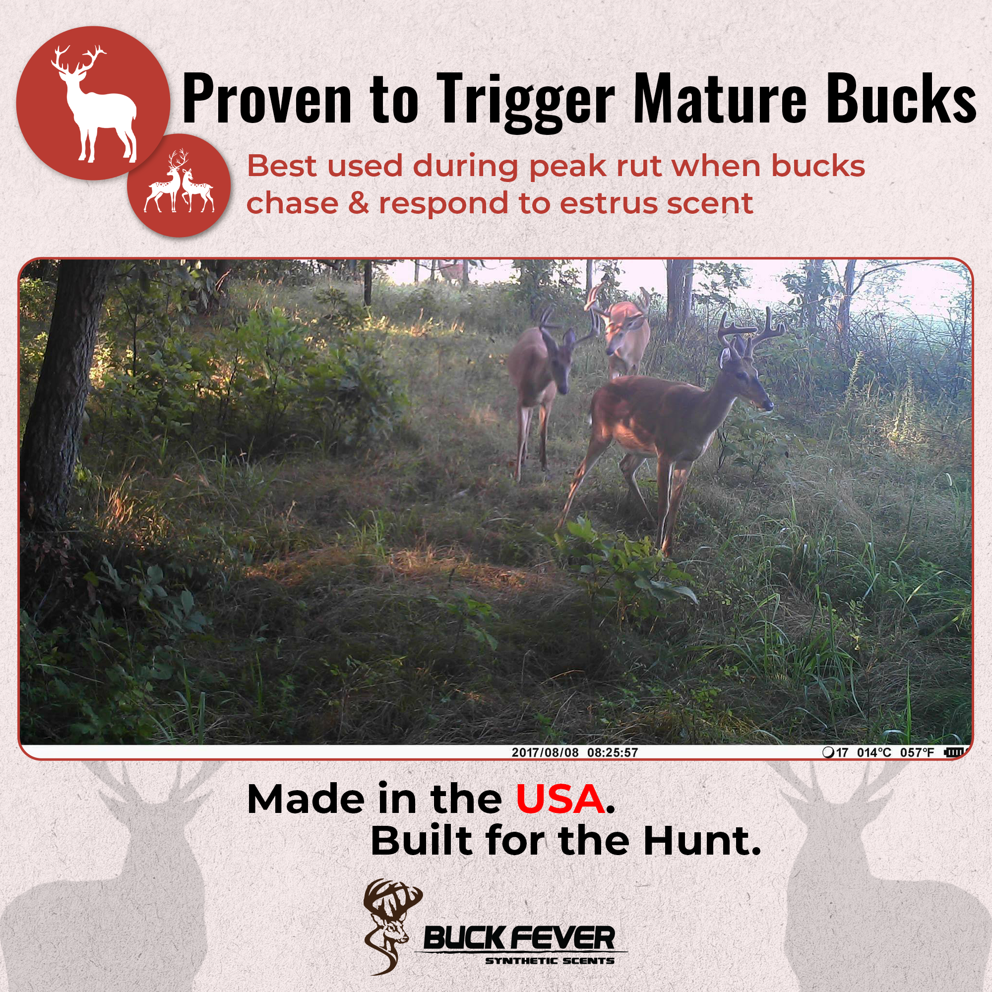 Full Rut - Synthetic Dominant Buck Attractant