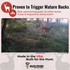 Full Rut - Synthetic Dominant Buck Attractant