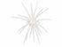 BFT Outdoor New Magnum Urchin 25mm