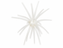 Super Urchin 19mm (3 Pack)