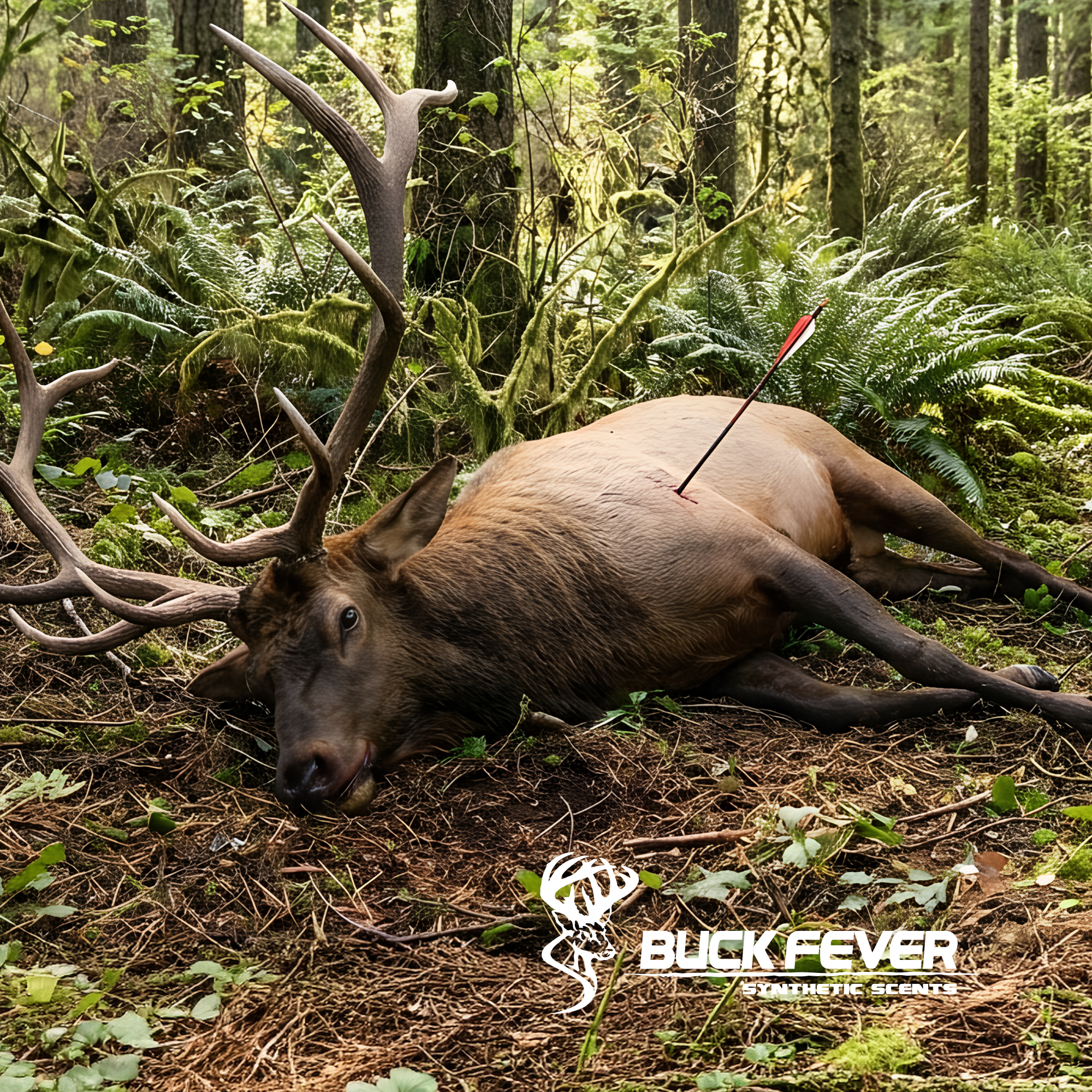 Elk Wallow Juice - Synthetic Elk  Attractant