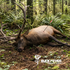 Elk Wallow Juice - Synthetic Elk  Attractant