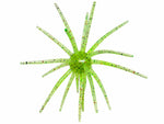 BFT Outdoor New Magnum Urchin 25mm