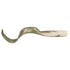 Berkley Gulp 6 Grub  Sardine 1509695