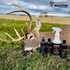 Pro Pack  - Synthetic Deer Scent Pack