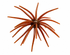Micro Urchin 6.35mm (6-Pack)