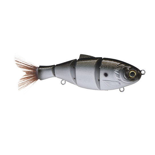 BD Shad Swimbait