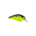 Squarebill Crankbait