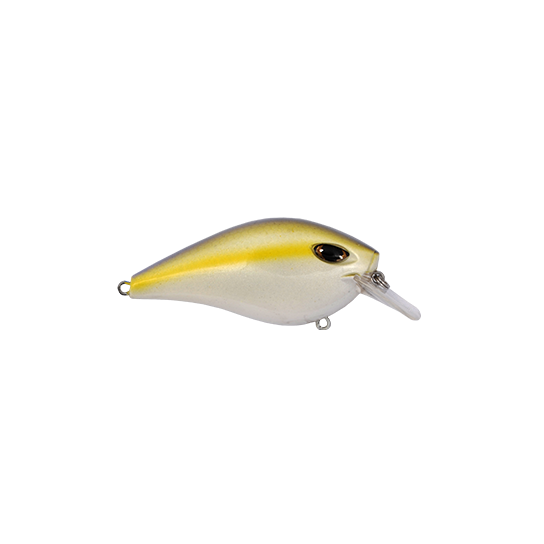 Squarebill Crankbait