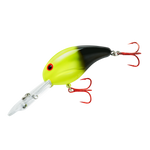 Bandit 300 Series