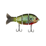 Bucca MB Baby BullGill