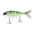 Bucca Trick Shad