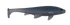 Weedless Executioner