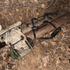 Waterproof Floating Shotgun Bag