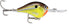 Rapala Dives-To 6ft 3/8oz 2"