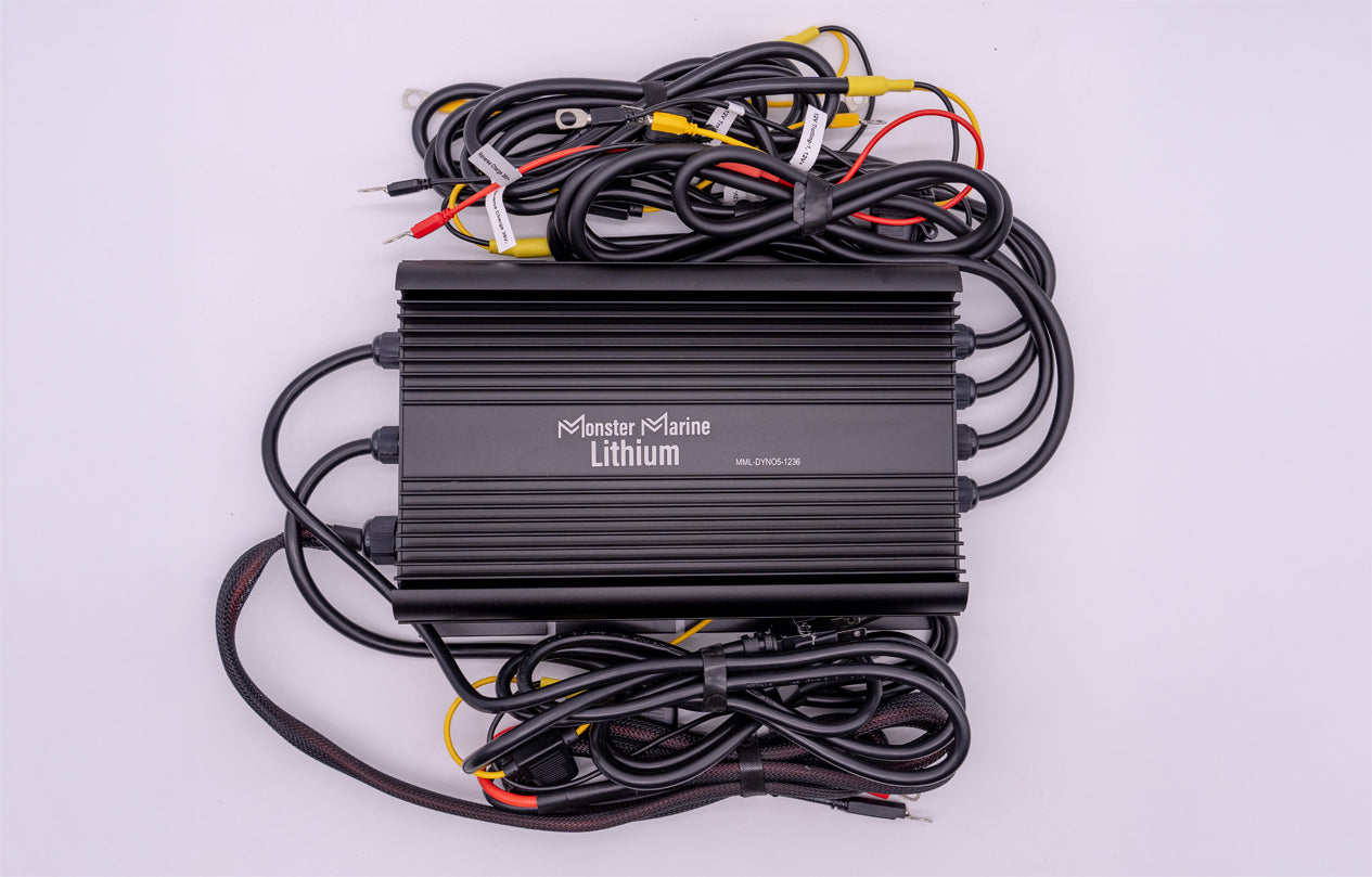 36v - DYNO5 - DYNAMIC CHARGER