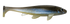 Weedless Executioner