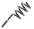 EA Lazer Spiral Spring