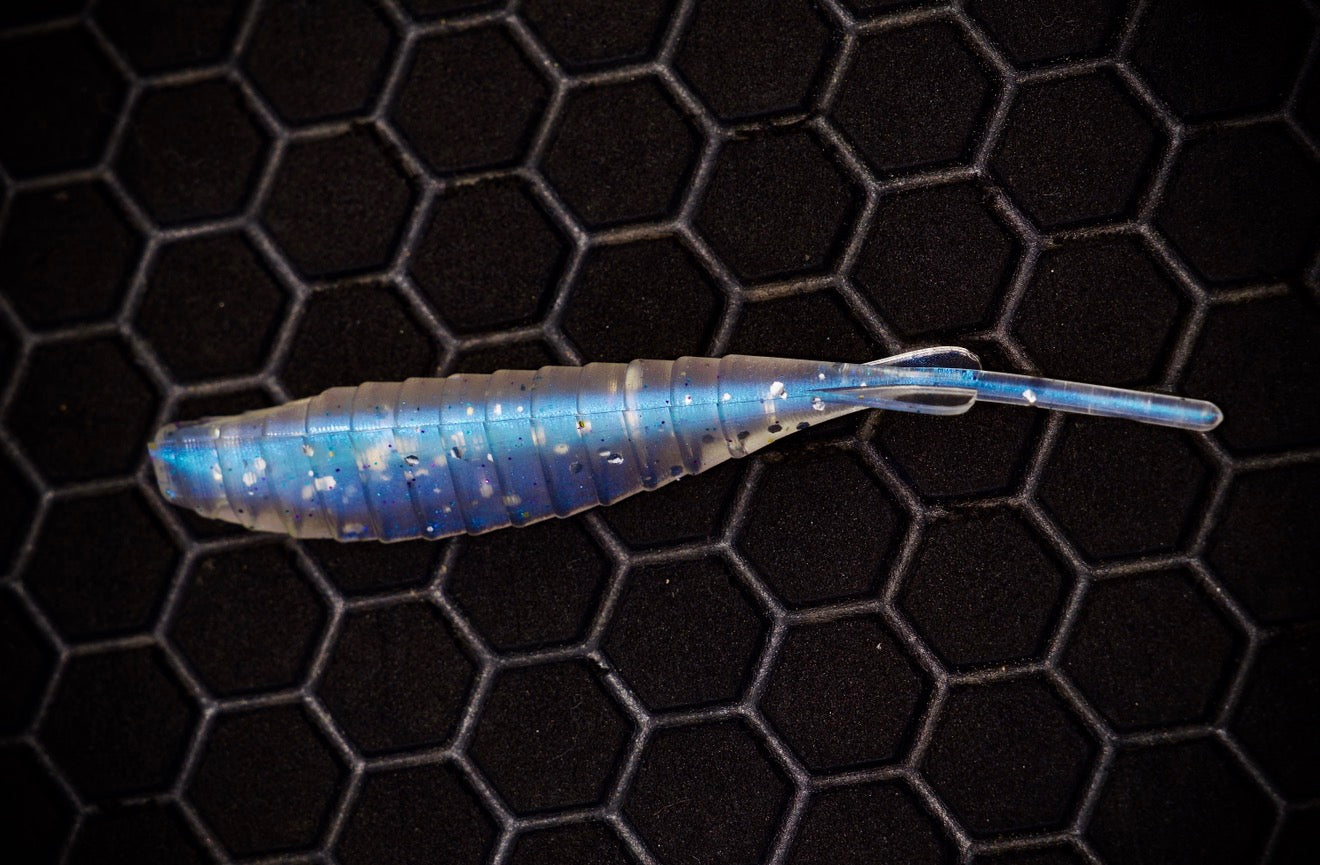 Shiv - Fish Or Die