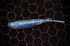 Shiv - Fish Or Die