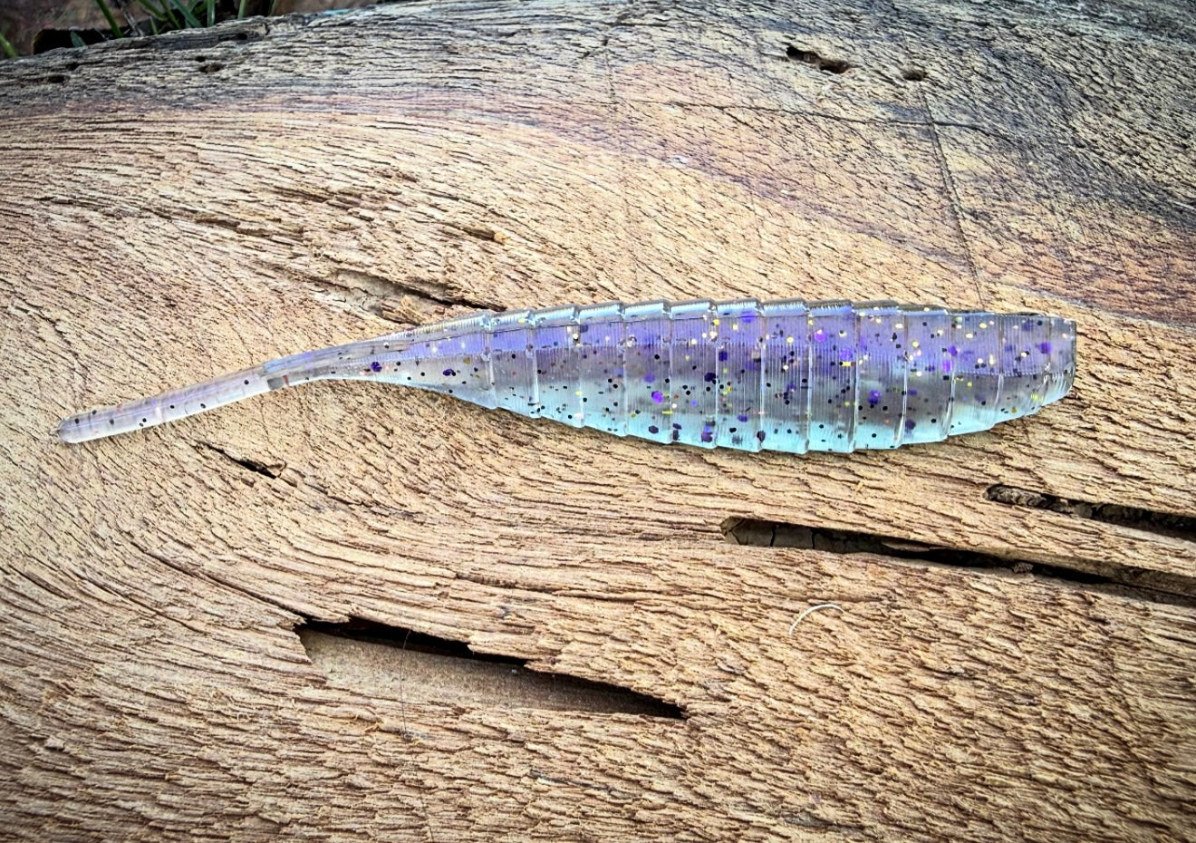 Shiv - Fish Or Die