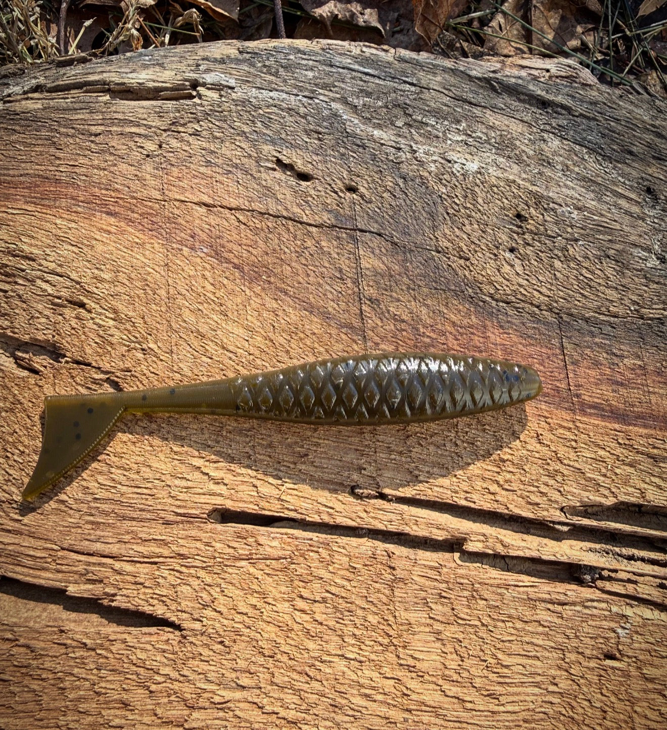The Dagger - Fish Or Die