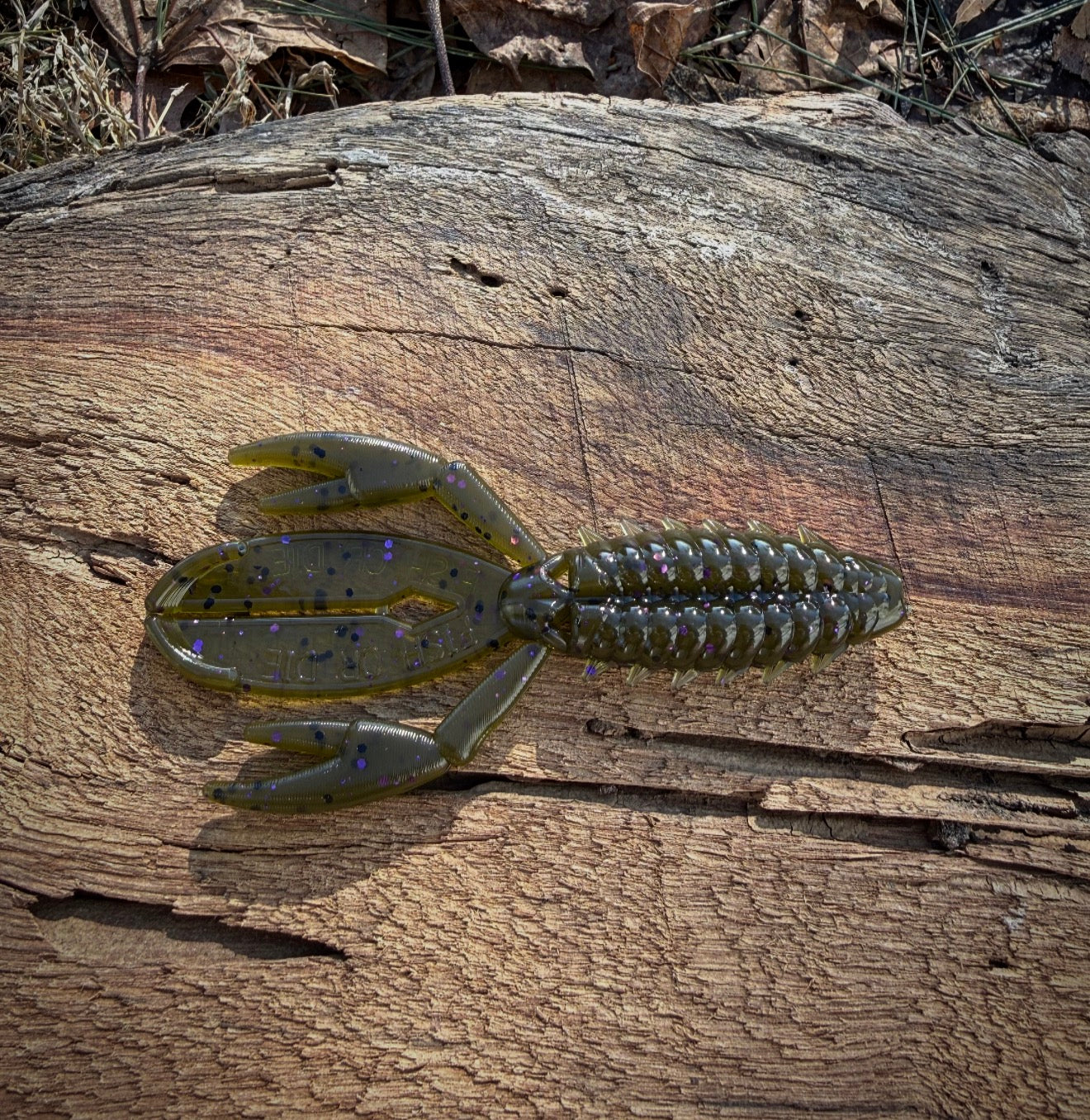 The Sherman - Fish Or Die