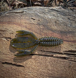The Sherman - Fish Or Die