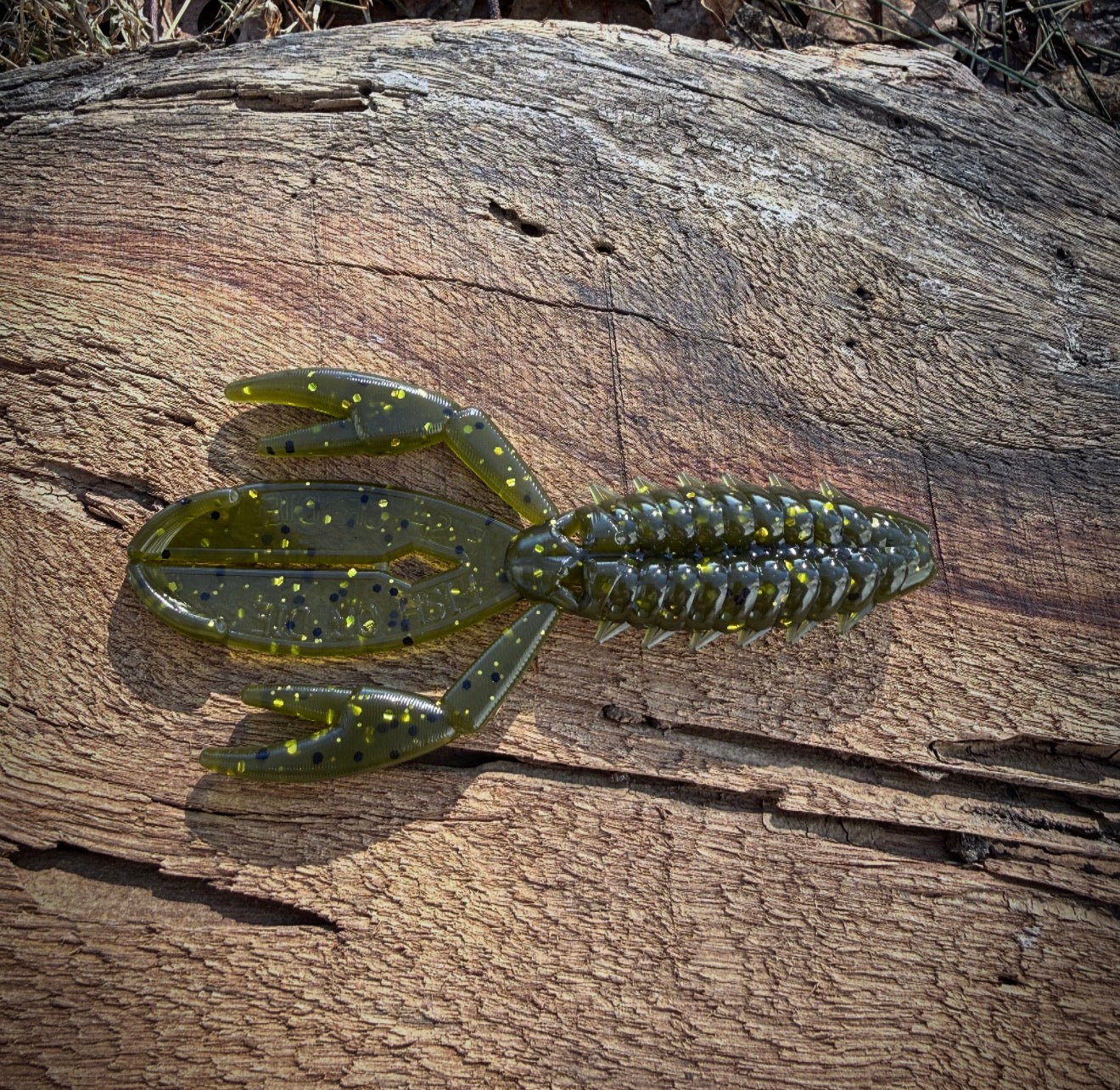 The Sherman - Fish Or Die
