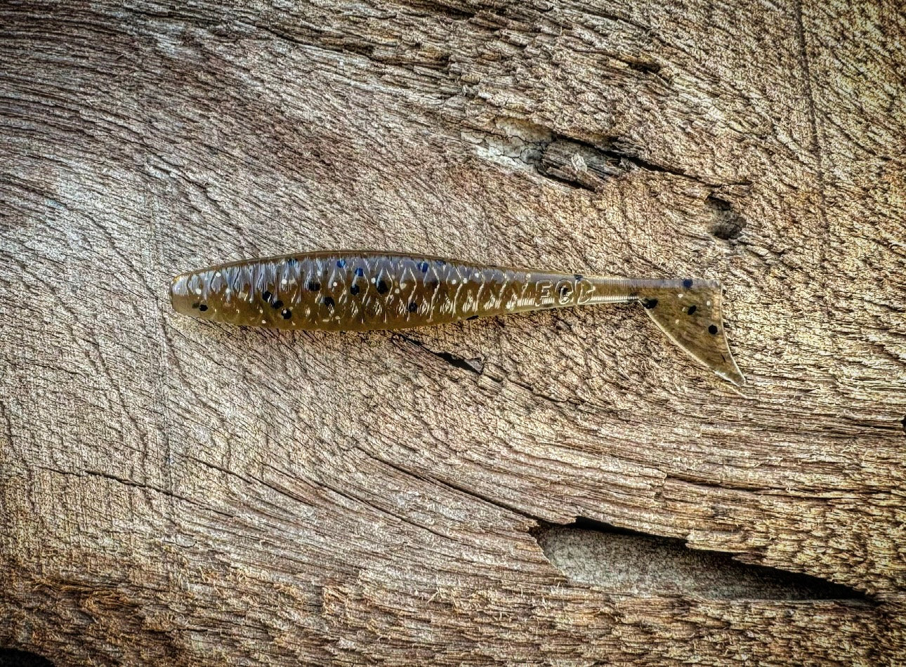 The Dagger - Fish Or Die