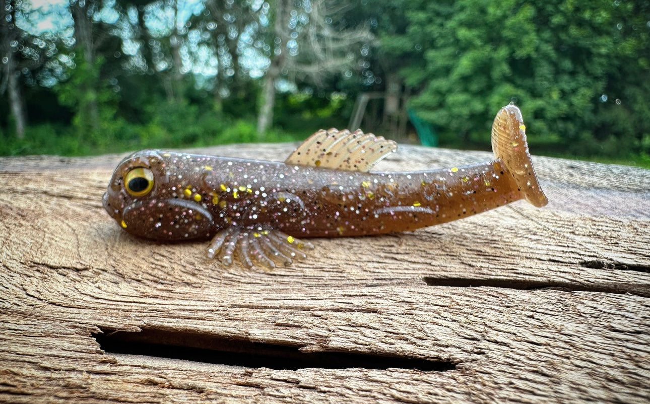 A-Jack - Fish Or Die